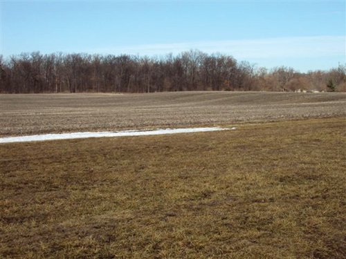 Property photo 7 - 66 Acres Offered in 3 Tracts